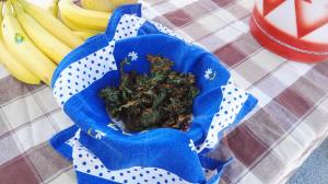 Dan zdravja 2017 (13)